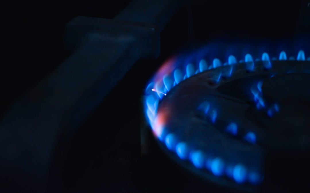 Article – A Heated Debate – Will Gas Stoves Be Completely Banned?